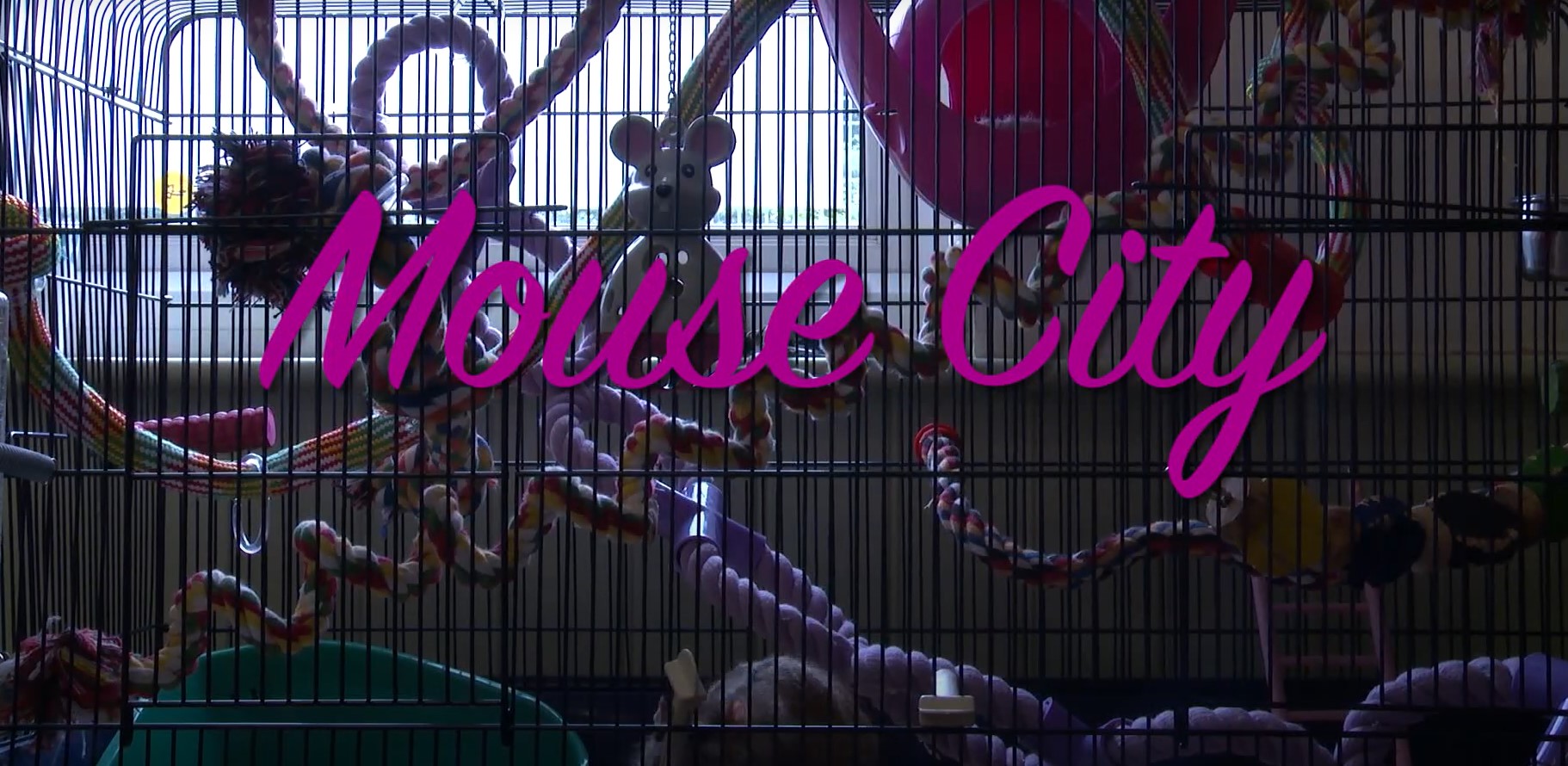 mouse city1